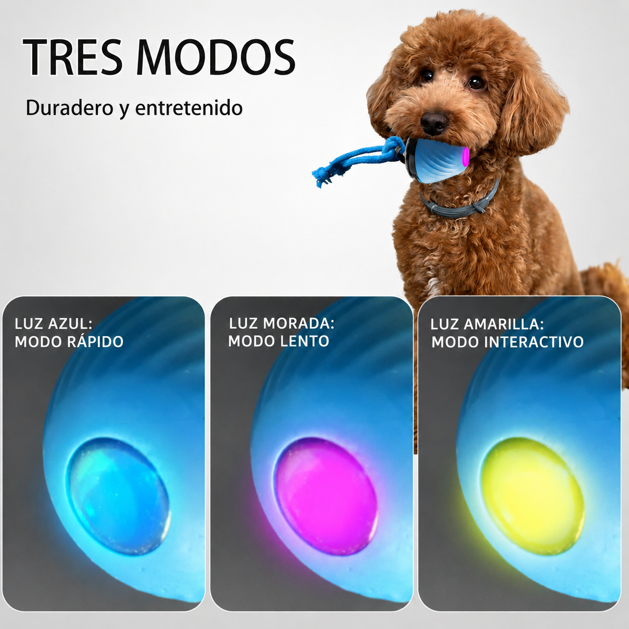 Juguete Interactivo Automático para Perros